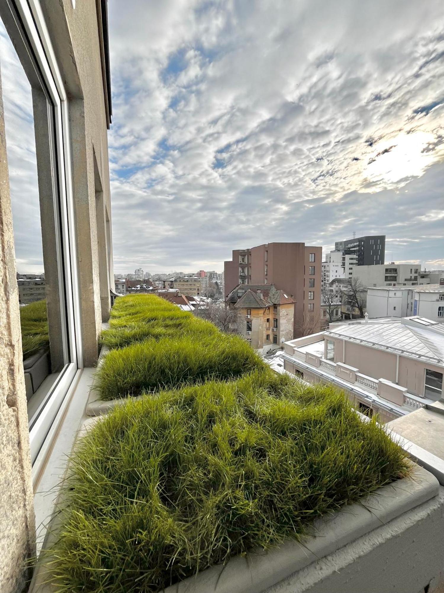 Terrace View Downtown Studio 布加勒斯特 外观 照片